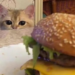 裸体女学生做爰全过程69XX
